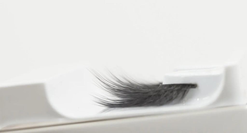 Foxy Fauxmink Lashes Z4: einzelne schwarze Wimpern auf transparenter Halterung