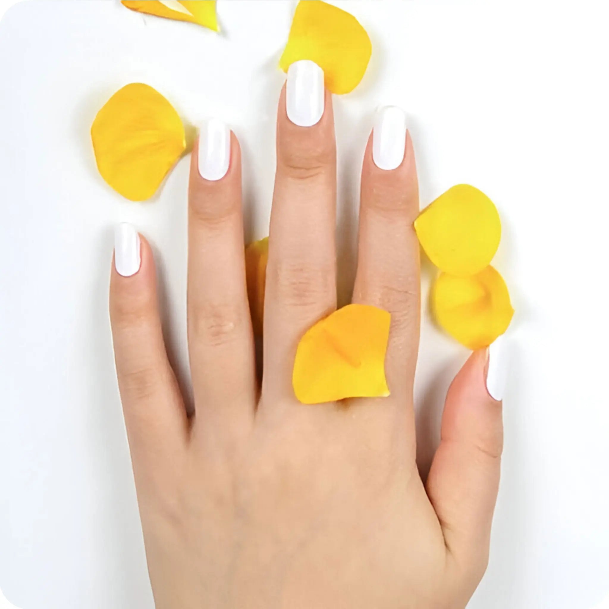 NOOVES gel nail strips: five glossy white oval nails on hand